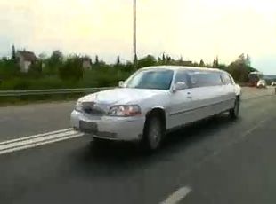 limousin