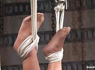 Dominated fetish babe is hung upside down and water jizzed